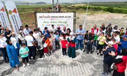 “Büyükşehir’den Engelsiz Orman”