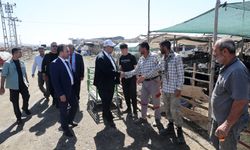 BAŞKAN AKPINAR, GEÇİCİ HAYVAN SATIŞ NOKTASINI ZİYARET ETTİ
