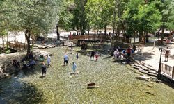 Yeşilgöz’ün Değeri Katlanıyor; Türkiye’nin Gizemli Obruğu İkinci Etapla Taçlanıyor