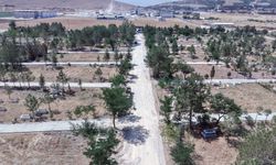 Büyükşehir’den Afşin Mezarlığı ve Bağlı Yollarında Çalışma