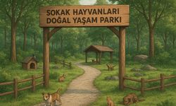 Kahramanmaraş Sahipsiz Hayvanları Koruma Birliği Kuruldu