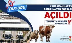 Canlı Hayvan Pazarı Açıldı