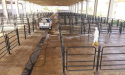 Büyükşehir’den Canlı Hayvan Pazarı’nda Halk Sağlığı İçin Kapsamlı Çalışma