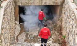 Büyükşehir, Vektör Zararlılara Karşı Kışlak İlaçlamanın Startını Verdi