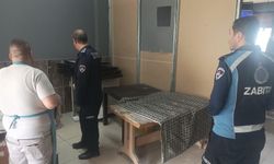 FIRIN VE KASAPLARA ZABITA DENETİMİ