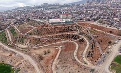 Karbon Yutak Alanı’nda Çalışmalar Sürüyor