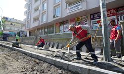 Büyükşehir, Cahit Zarifoğlu Caddesi’nde Kapsamlı Yenileme Çalışması Başlattı