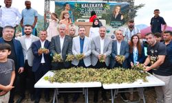 BU DA MARAŞ’IN FINDIK FESTİVALİ