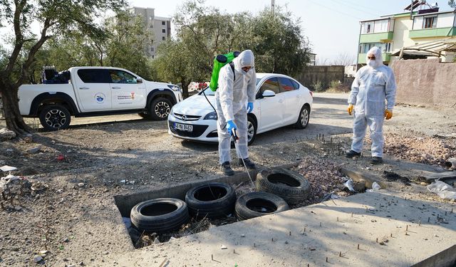 Vektör Zararlılara Karşı Mücadele Devam Ediyor