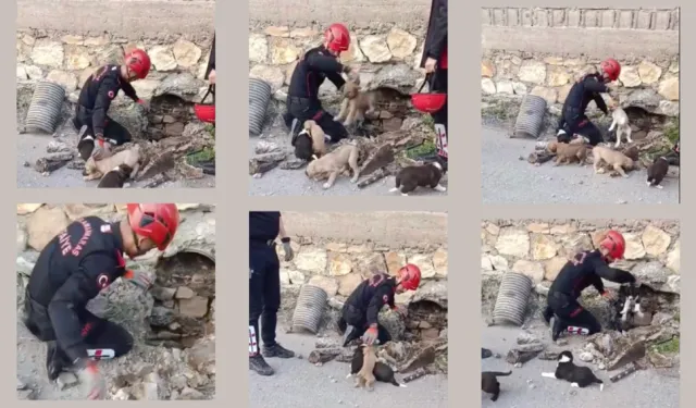 GİDER BORUSUNA SIKIŞAN 7 YAVRU KÖPEK KAHRAMANMARAŞ'TA KURTARILDI