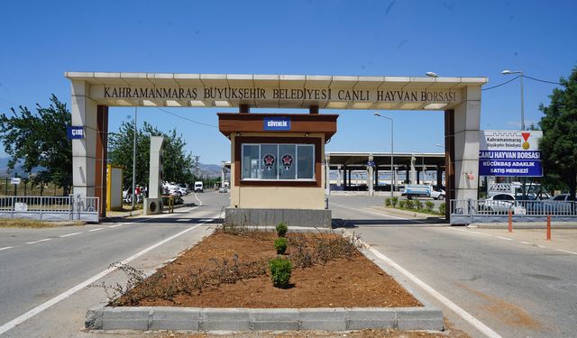 Hayvan Borsası’nda Hazırlıklar Tamamlandı