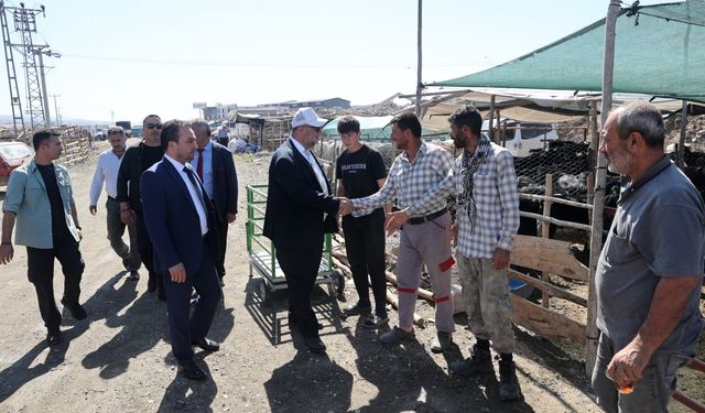 BAŞKAN AKPINAR, GEÇİCİ HAYVAN SATIŞ NOKTASINI ZİYARET ETTİ