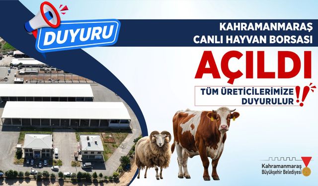 Canlı Hayvan Pazarı Açıldı