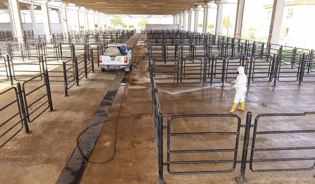 Büyükşehir’den Canlı Hayvan Pazarı’nda Halk Sağlığı İçin Kapsamlı Çalışma