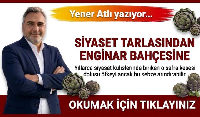 SİYASET TARLASINDAN ENGİNAR BAHÇESİNE