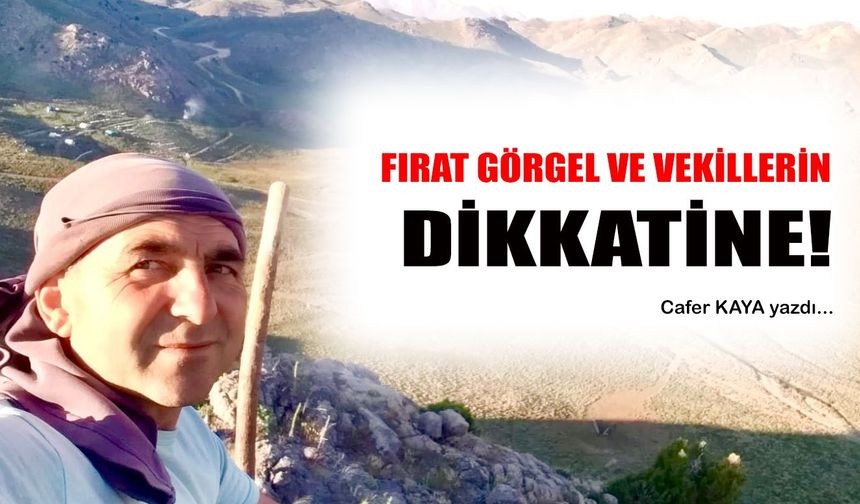 FIRAT GÖRGEL VE VEKİLLERİN DİKKATİNE!