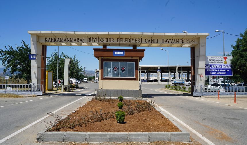 Hayvan Borsası’nda Hazırlıklar Tamamlandı