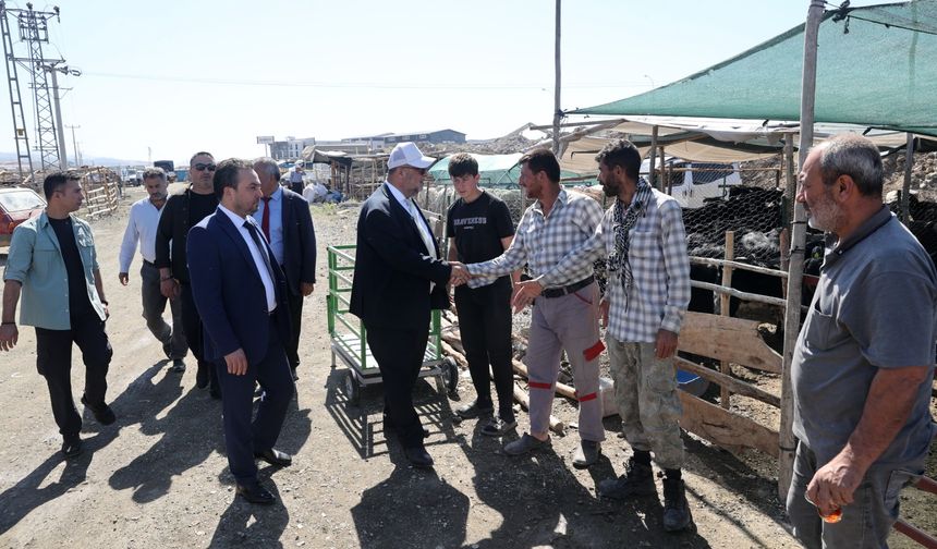 BAŞKAN AKPINAR, GEÇİCİ HAYVAN SATIŞ NOKTASINI ZİYARET ETTİ