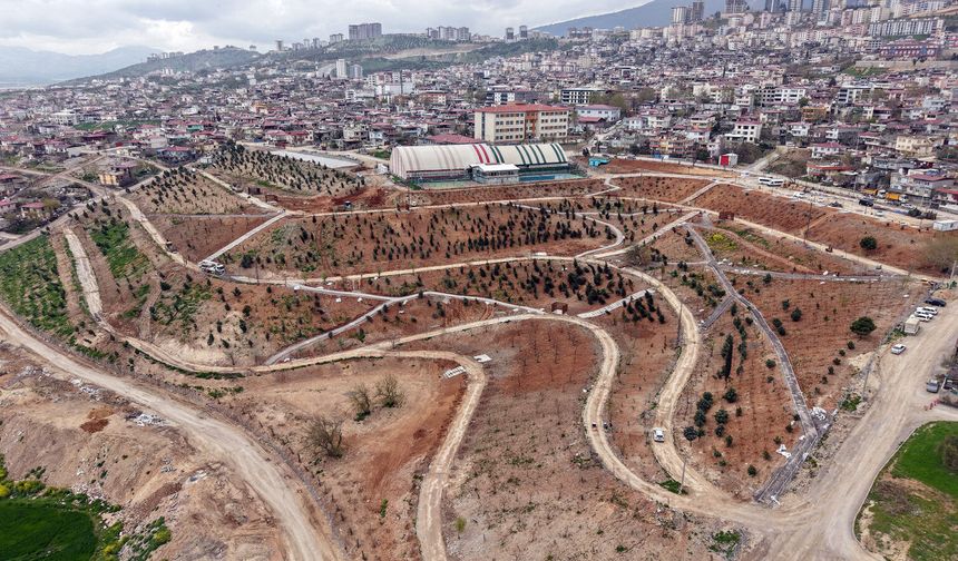 Karbon Yutak Alanı’nda Çalışmalar Sürüyor