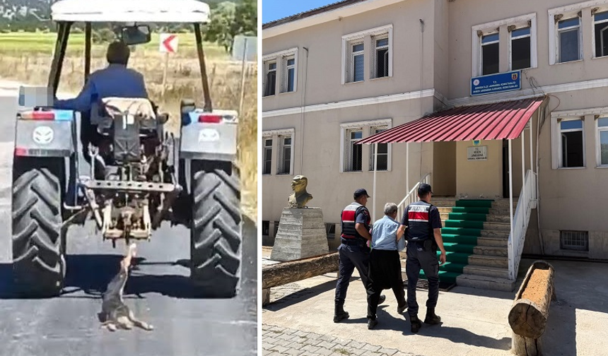 KAHRAMANMARAŞ’TA KÖPEĞE EZİYET EDEN ŞAHIS YAKALANDI!