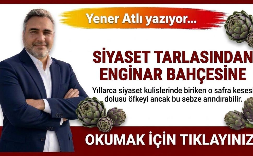 SİYASET TARLASINDAN ENGİNAR BAHÇESİNE