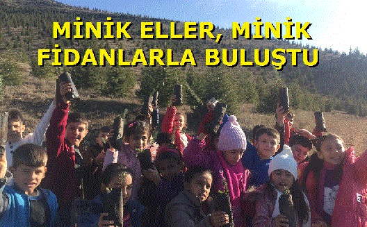 MİNİK ELLER, MİNİK FİDANLARLA BULUŞTU!