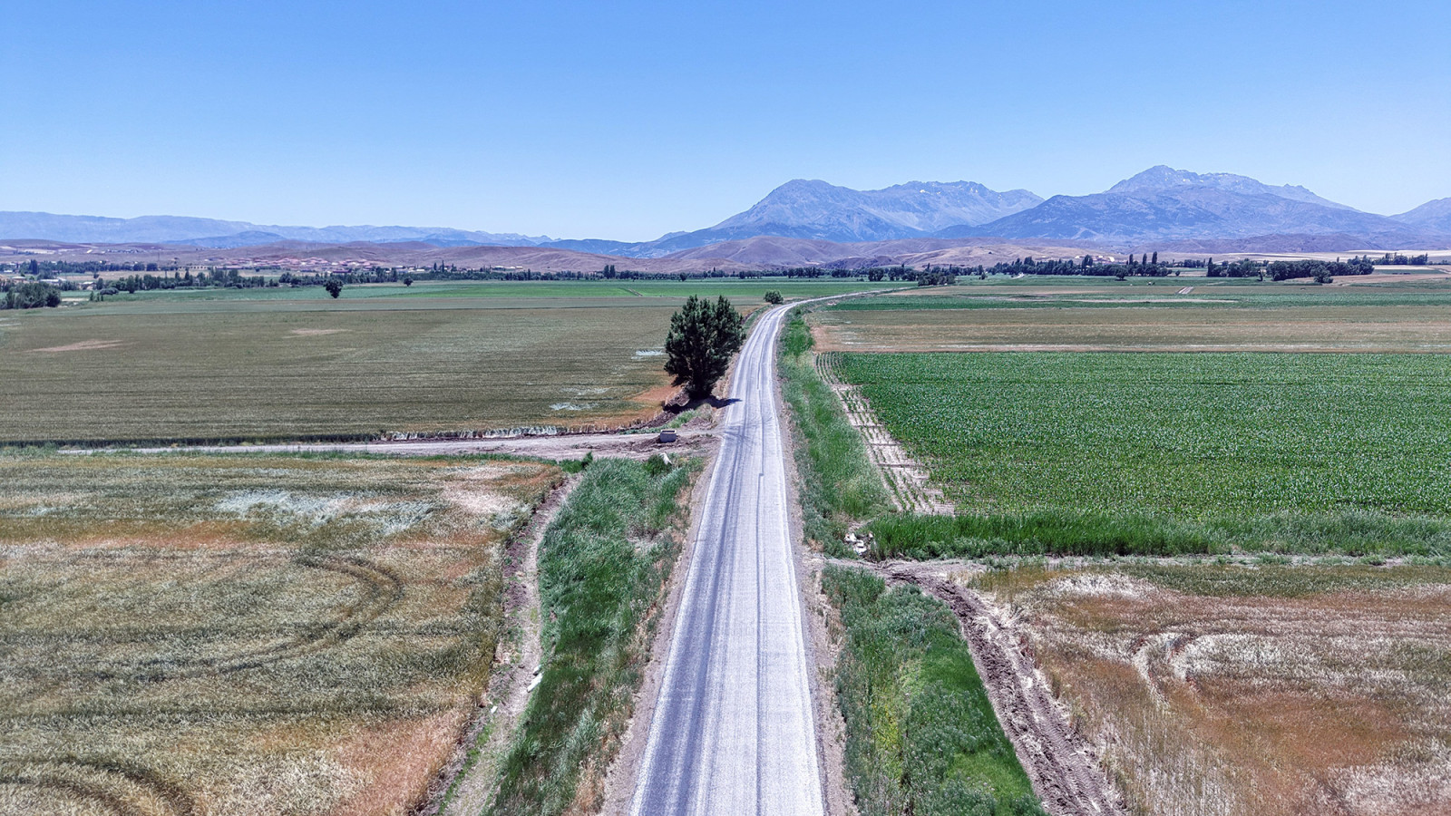 Kabaagac Yolu 3