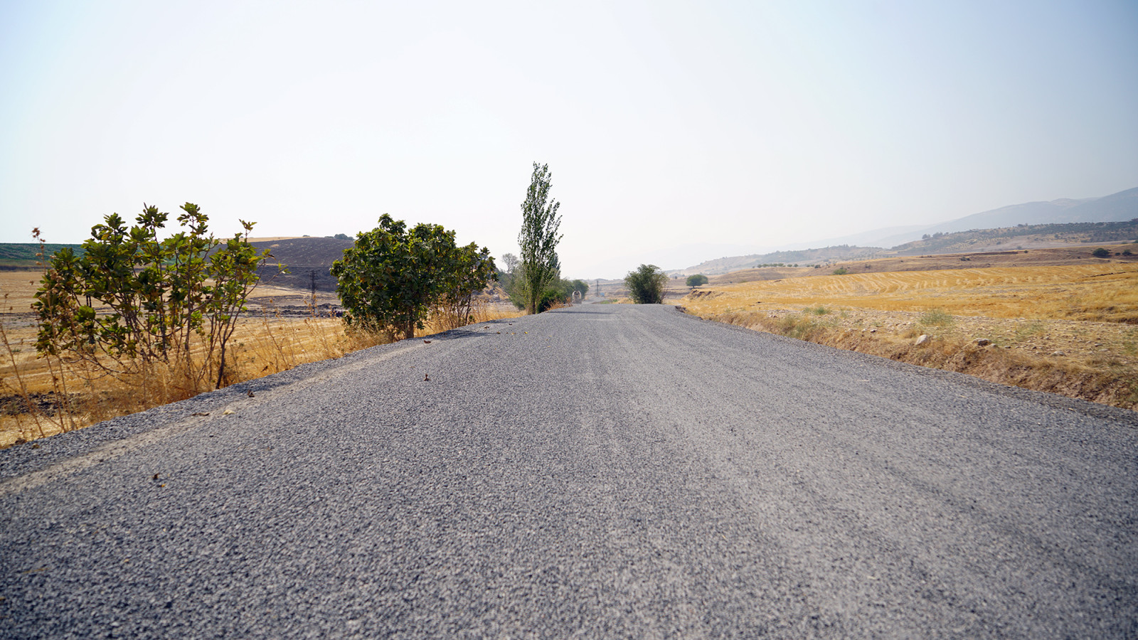 Elmalar Yolu 2