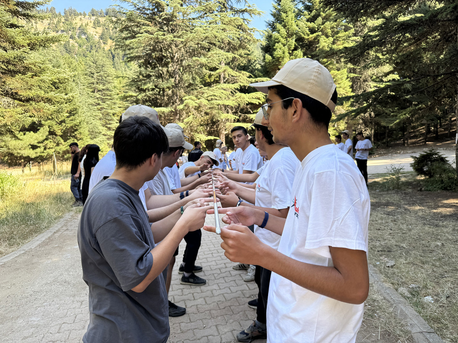 Kamp 6