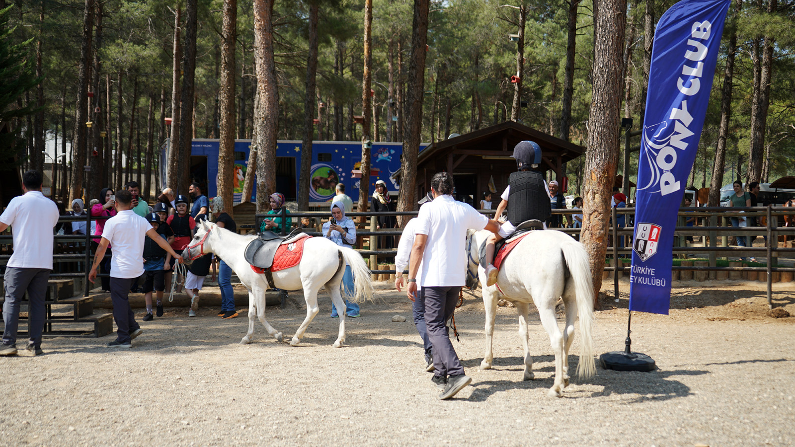 Pony Club 6