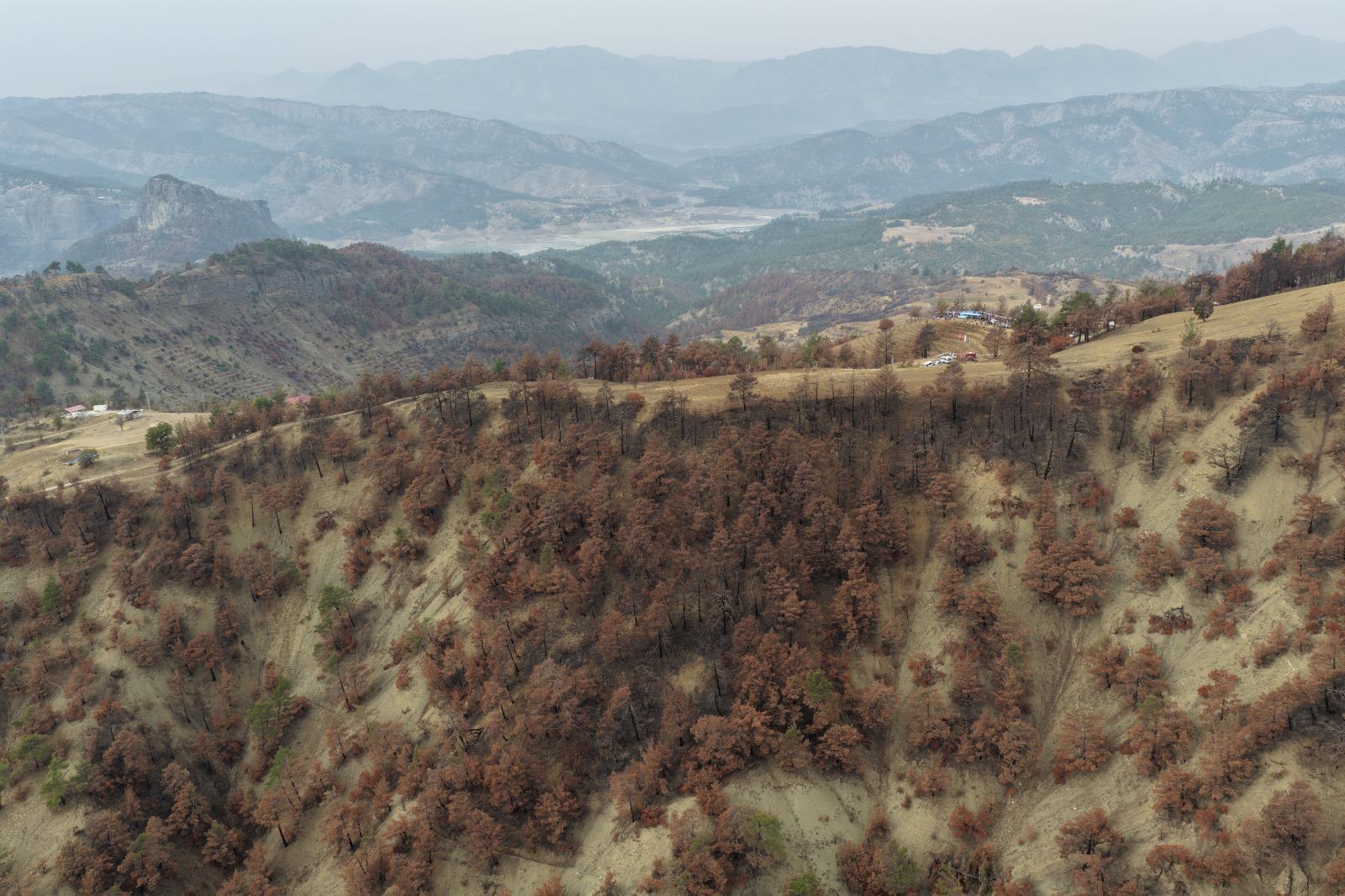 5Dfd86E1 71De 44E5 B80C Faa8Dd4A87A1