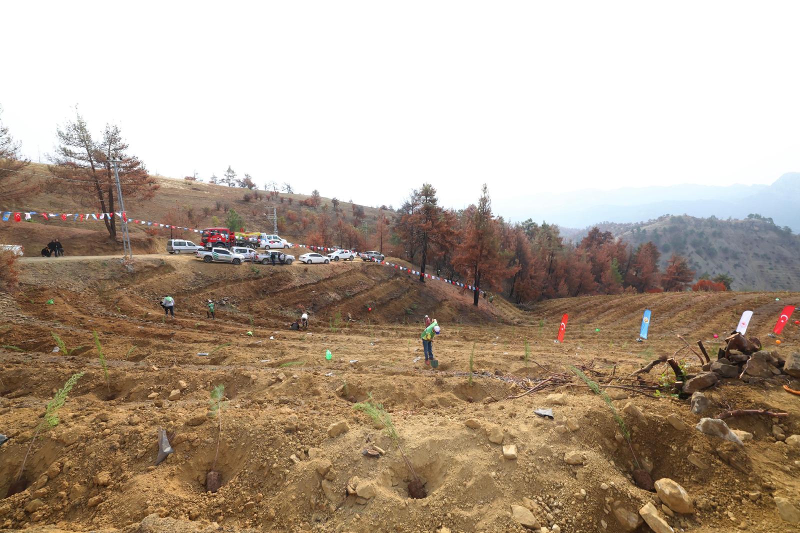 Acbd21E9 13F1 44Bd 996C B3Bbd3607A18