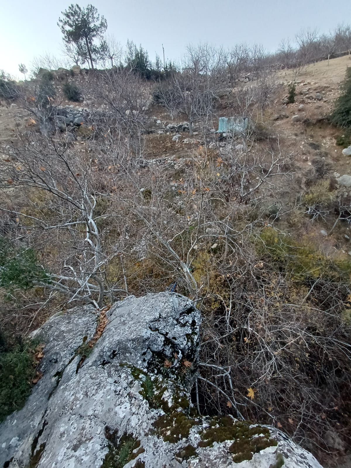 Whatsapp Image 2025 12 17 At 10.14.48 (1)