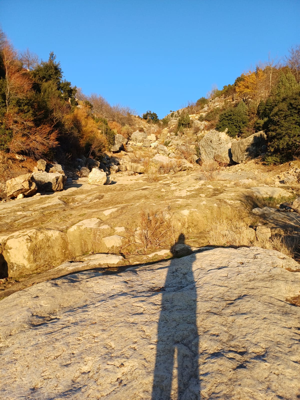 Whatsapp Image 2025 12 17 At 10.14.48 (2)