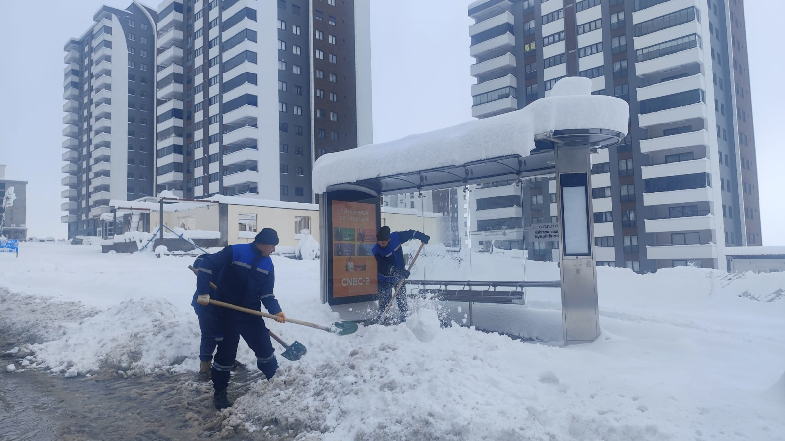 Kaldirim Temizligi 1-1