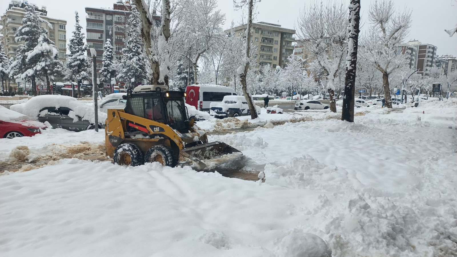 Kaldirim Temizligi 5
