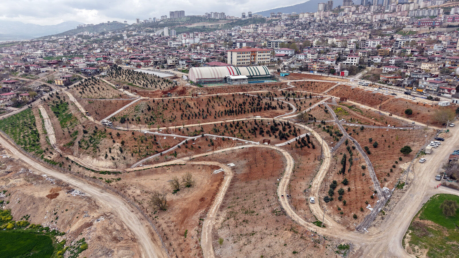 Karbon Yutak Alani 6