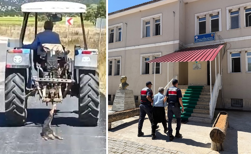 KAHRAMANMARAŞ’TA KÖPEĞE EZİYET EDEN ŞAHIS YAKALANDI!