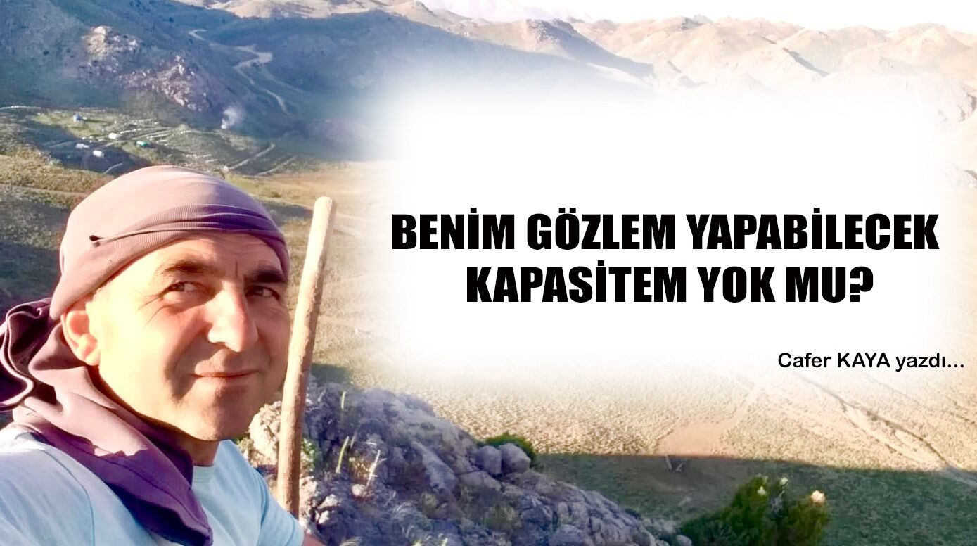 BENİM GÖZLEM YAPABİLECEK KAPASİTEM YOK MU?